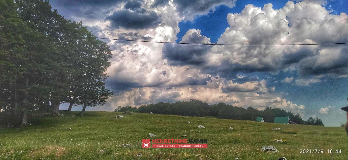 Plac od 5342 m² na 500 m od Savinog Kuka, Motički Gaj, Žabljak